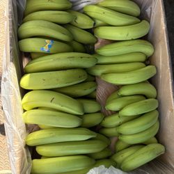 Organic Bananas 