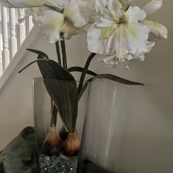 Vase And Flowers Display