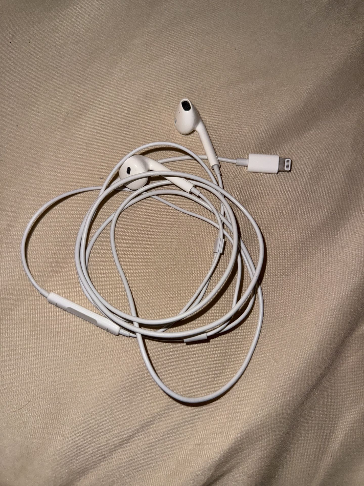 Apple Earbuds (wired)