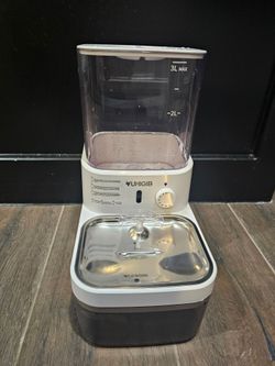 Cat Fountain