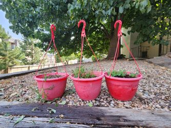 3 red hanging planters