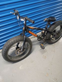 Fat tire bike