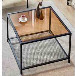 Modern Glass Coffee Table with Storage – $45