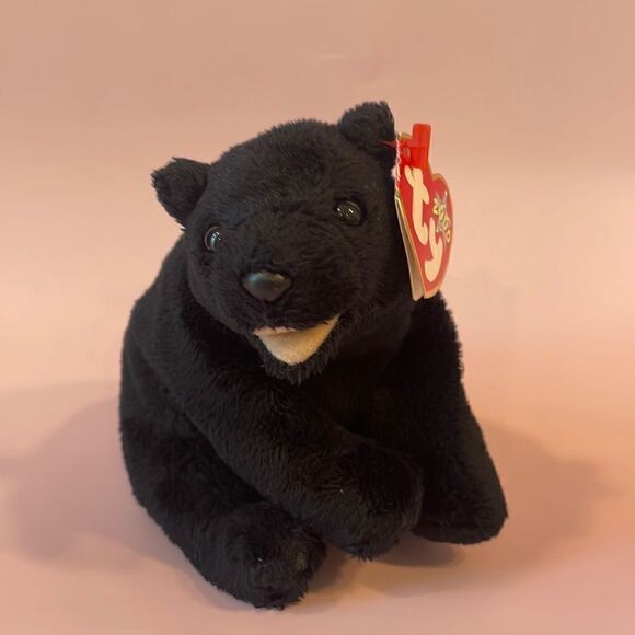 Cinders the Black Bear (RETIRED) 2000 Original Beanie Baby Ty Inc. NWT EUC 5”
