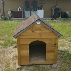 Dog House 