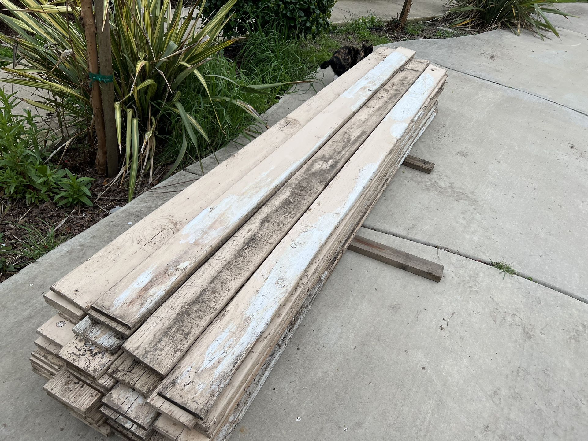 Trim Boards