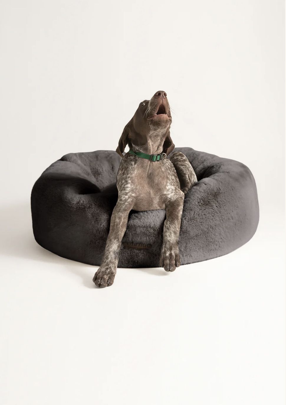 UnHide Dog Bed