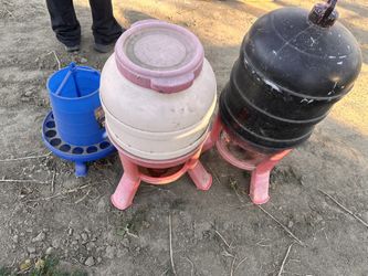 Roosters Items