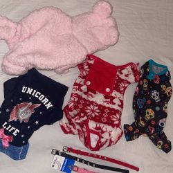 Dog Clothes & Collars