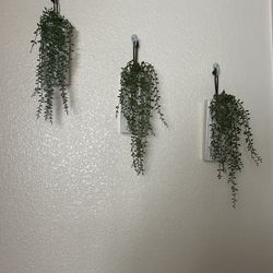 Fake Plants 