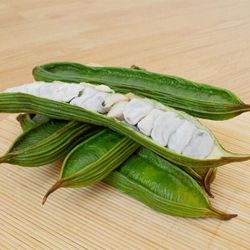 Vanilla Ice Cream Bean Trees