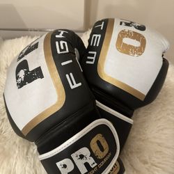 Pro Boxing Gloves