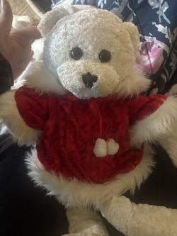 Rare Teddy Bear