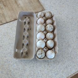Fresh Duck Eggs