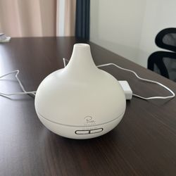 Diffuser With 10 Essential Oils 