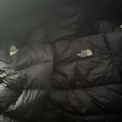 The North Face 