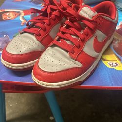 Sb Dunks Size 9