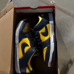 Nike Dunk Low GS 'Michigan