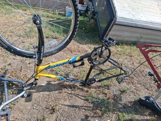 Bicycle Magna alpine eagle