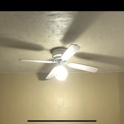 Ventilador Techo  Con LUZ Por  $15