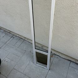 Dog Door