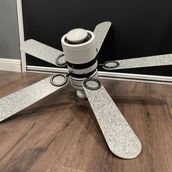 Ceiling fan with light