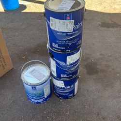 three new gallons of paint