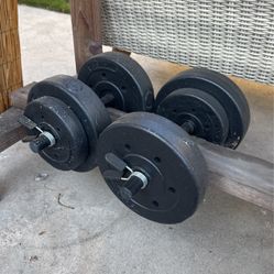 20 Lbs Weights Dumbbells 