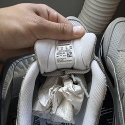 Pumas