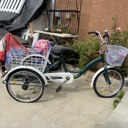 Tricycle Bike 