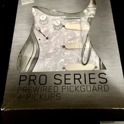 Guitar Pick Ups DG-20  David Gilmore Pink Floyd