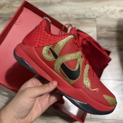 KOBE 5 YEAR OF THE MAMBA