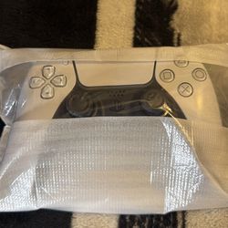PS5 Controller