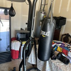 Everlast Punching Set W UFC Gloves