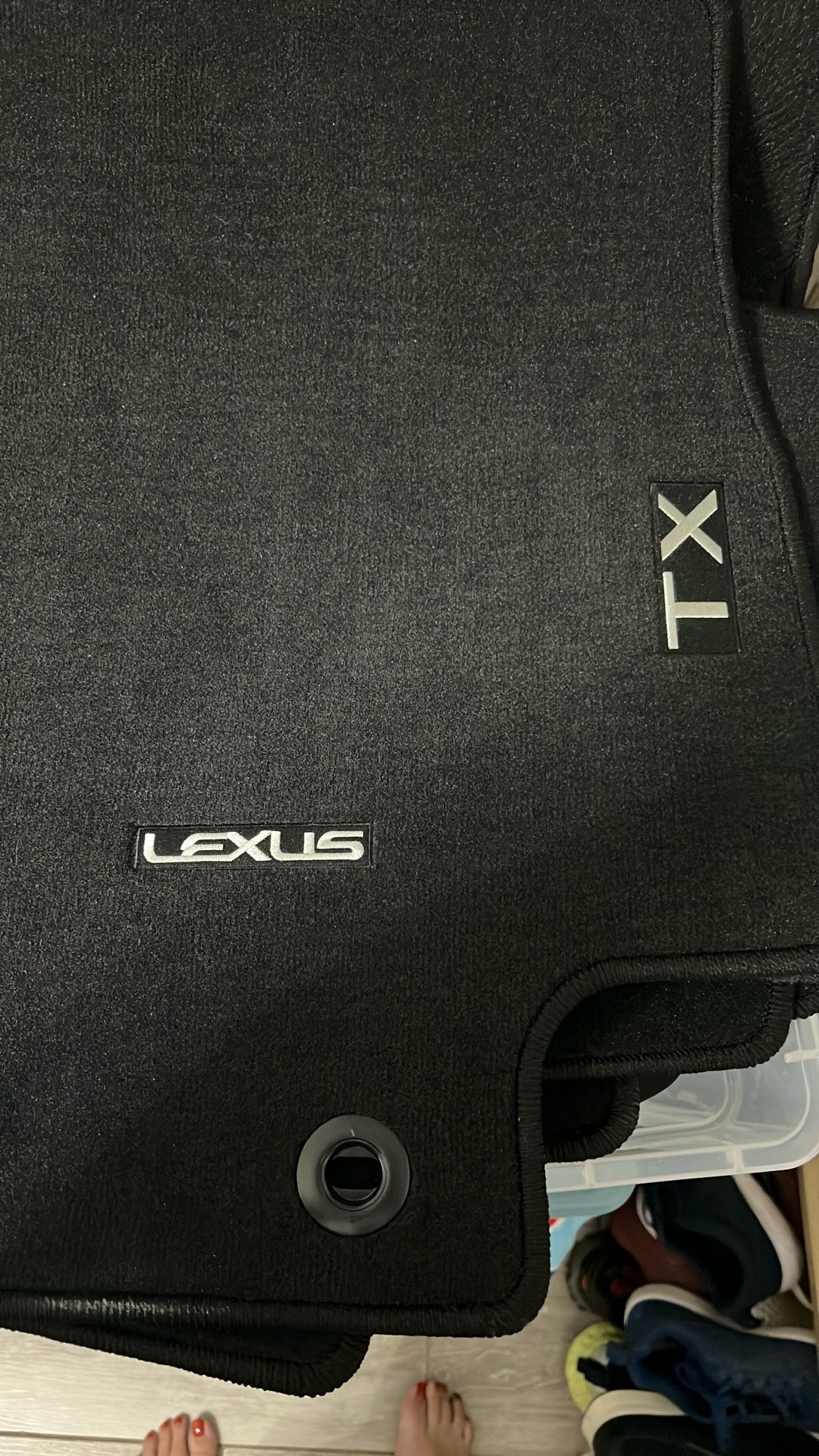 Brand New 2025 TX 350 Car Mats