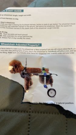 Dog wheelchair