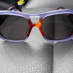 CELINE Triomphe 18 sunglasses in Acetate