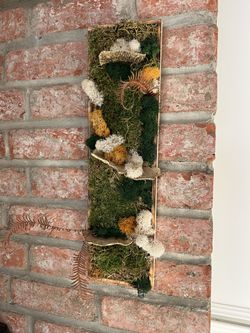Moss Wall Art 5x18
