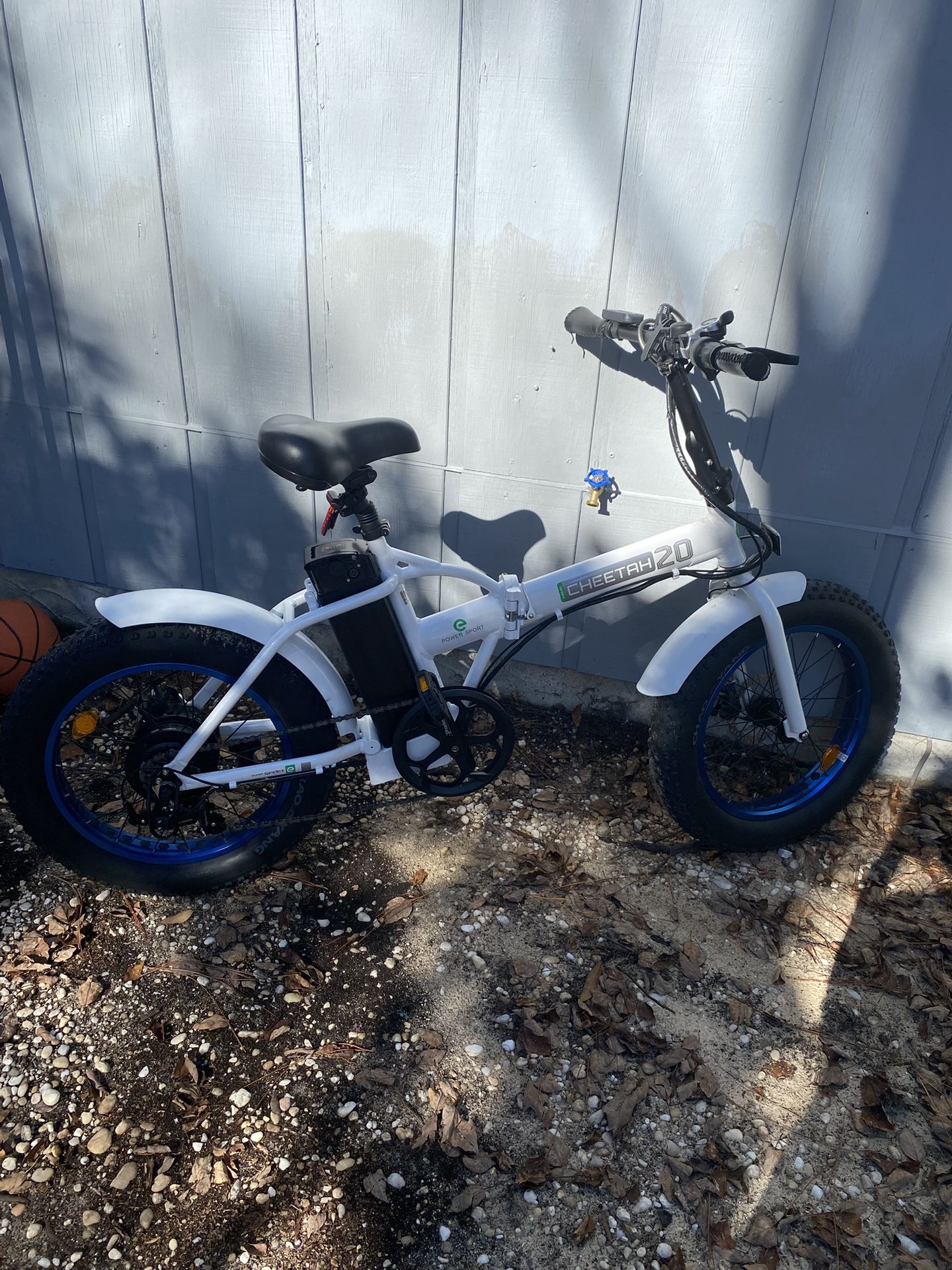 Electric Bike 