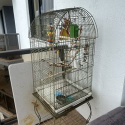 Free Bird Cage 