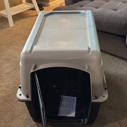 Dog Cage 