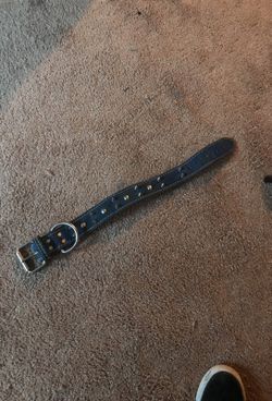 Spike dog collar