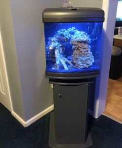 28 Gallon Nano Cube Setup