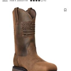 Ariat  Steal Toe Boots Size 11 1/2