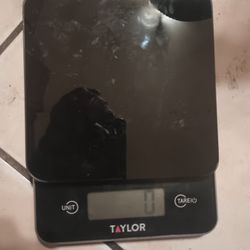 scale works to  the point