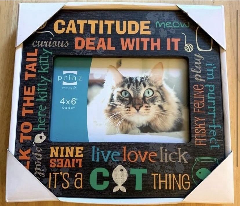 Cat Picture Frame