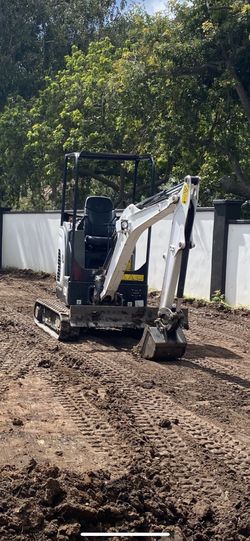 Mini Excavator Daily