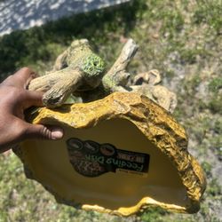 Reptile Feeding Dish & Log