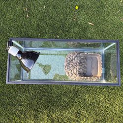 Reptilian Tank & Lighting/decor Set, PetCo Terrarium Throve Ope Front Desert Reptile