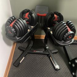 Bowflex Adjustable Weights 552 Dumbbells 